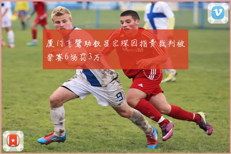 厦门飞鹭助教吕宏琛因指责裁判被禁赛6场罚3万