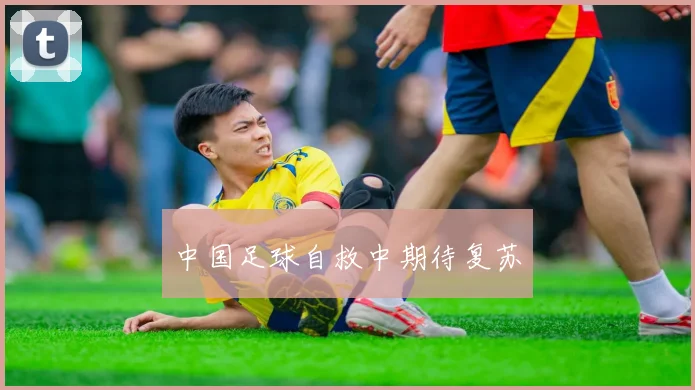 中国足球自救中期待复苏